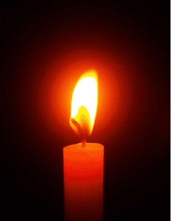 Mary Ann Wandell Obituary